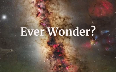 Do You Ever Wonder…?